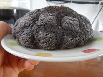 �`���R�z�C�b�v�������p��