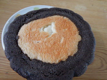 �`���R�z�C�b�v�������p��