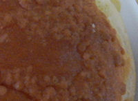 ���}�U�L �N�����u���u���I�b�V���p��