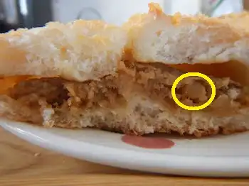 �킳�r�[�t�p��